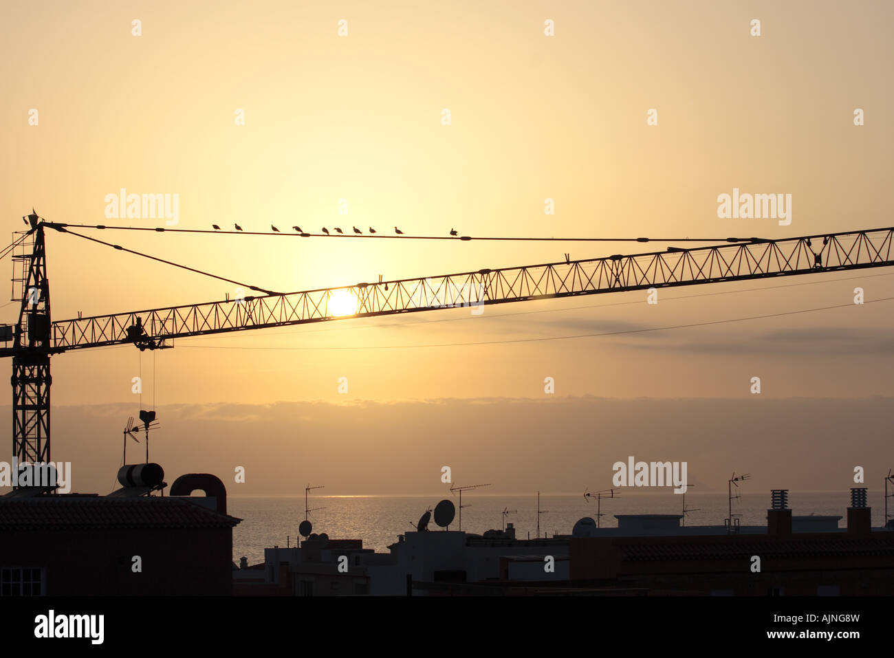 seagulls-in-silhouette-on-a-crane-in-pla