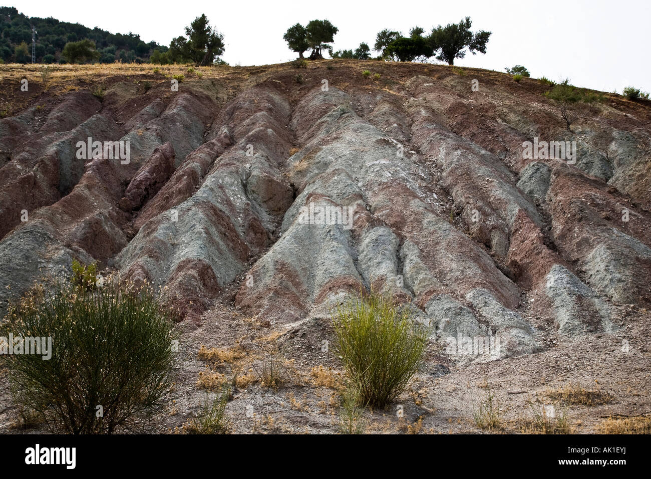 soil erosion on a hillside probably caused by water outside the stock photo royalty free image soil erosion on a hillside probably caused by water outside the stock photo royalty free image