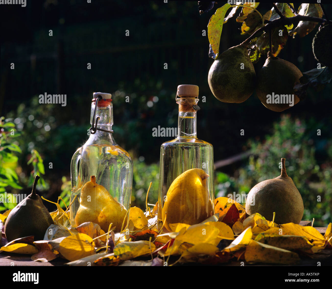 Pear Schnapps Stock Photo, Royalty Free Image 14894889 Alamy