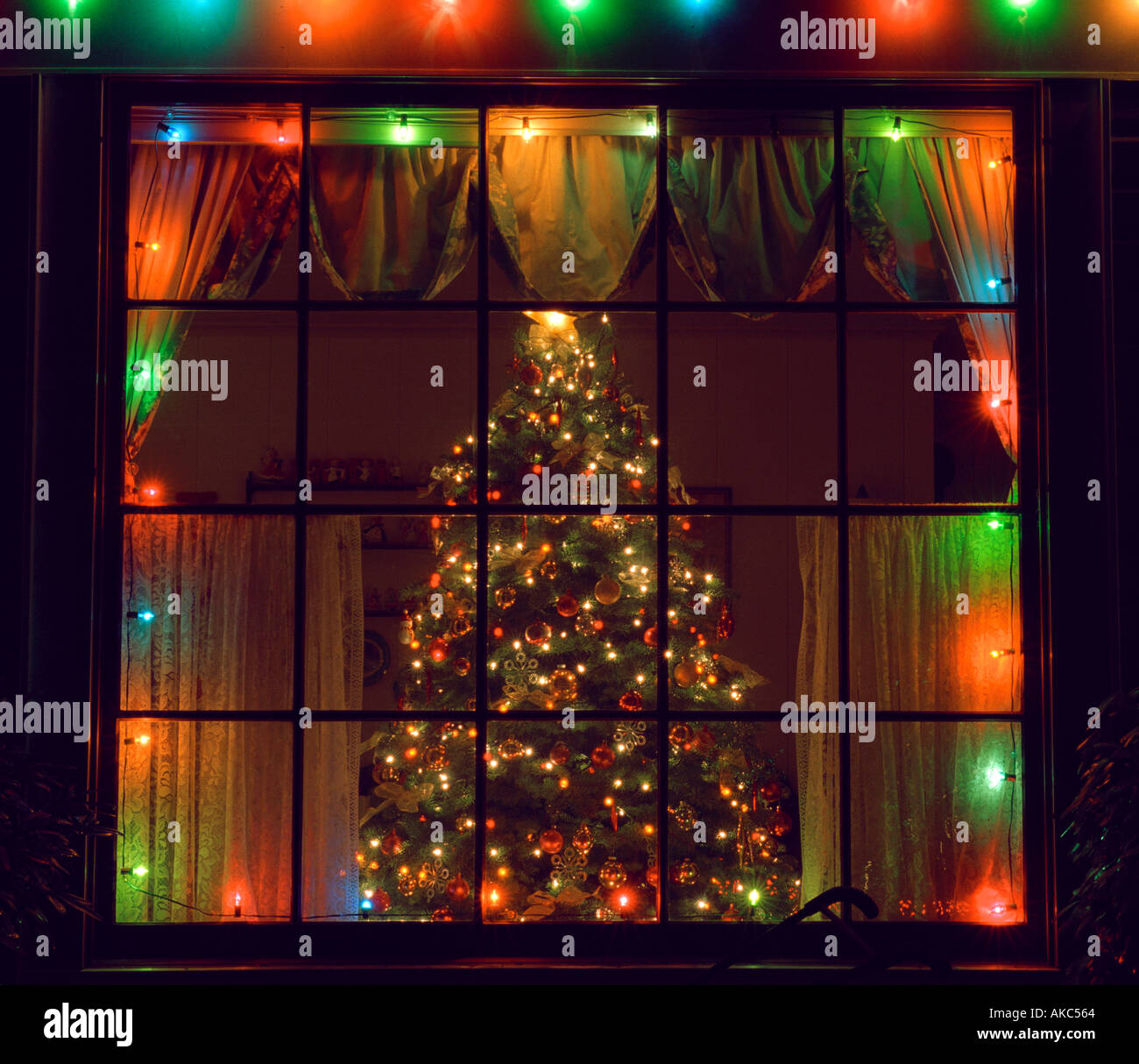 christmas tree through home window stock photo royalty christmas tree through home window stock photo royalty