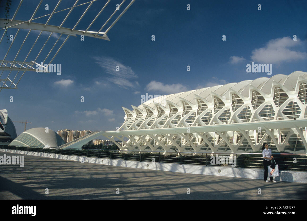 Modern Architecture Museum valencia city of arts and science science museum building l stock Modern Architecture Museum valencia city of arts and science science museum building l stock