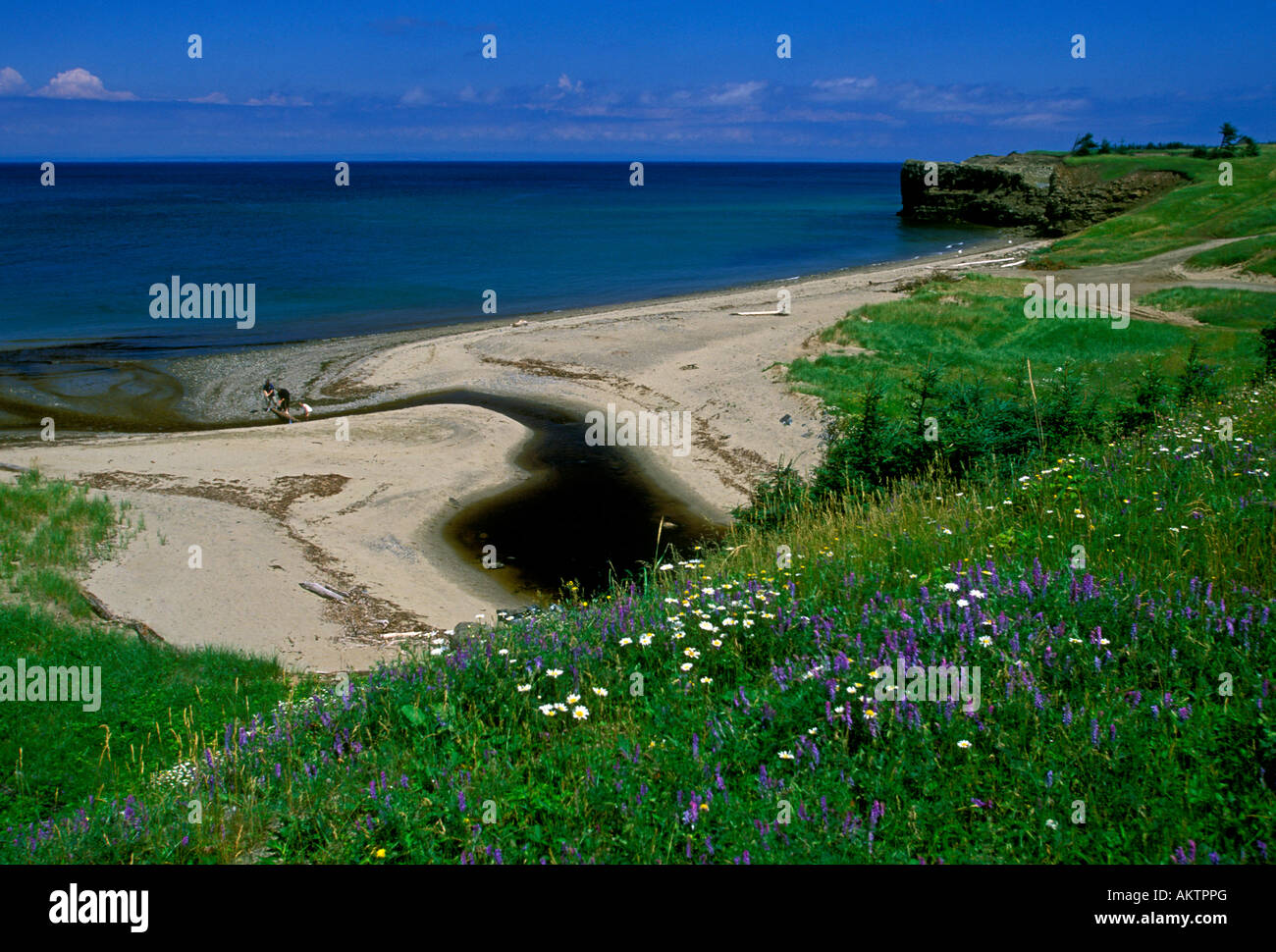 Beach coast coastline shore shoreline Pokeshaw Park New Brunswick Stock