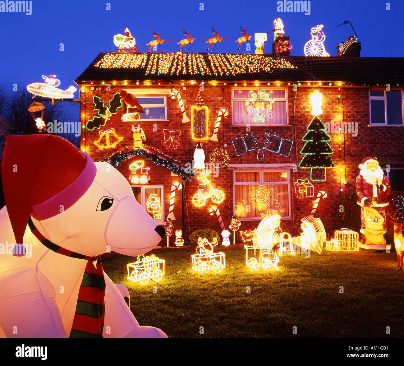 My Image 27