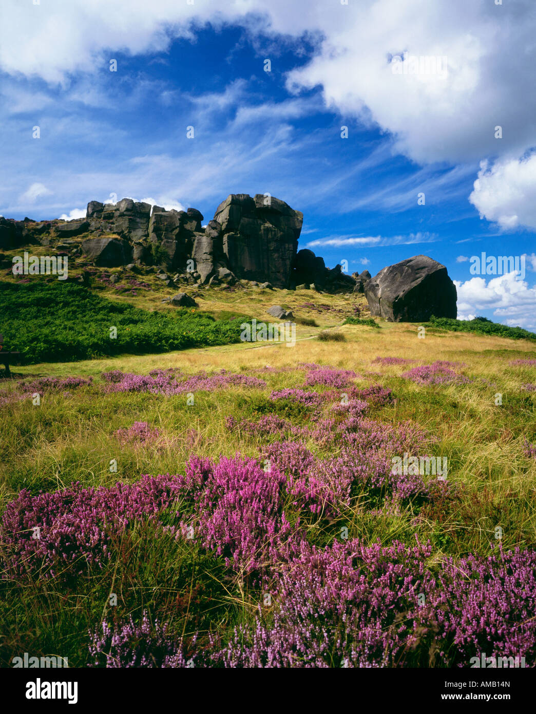 cow and calf rocks ilkley moor yorkshire dales uk Stock Photo, Royalty