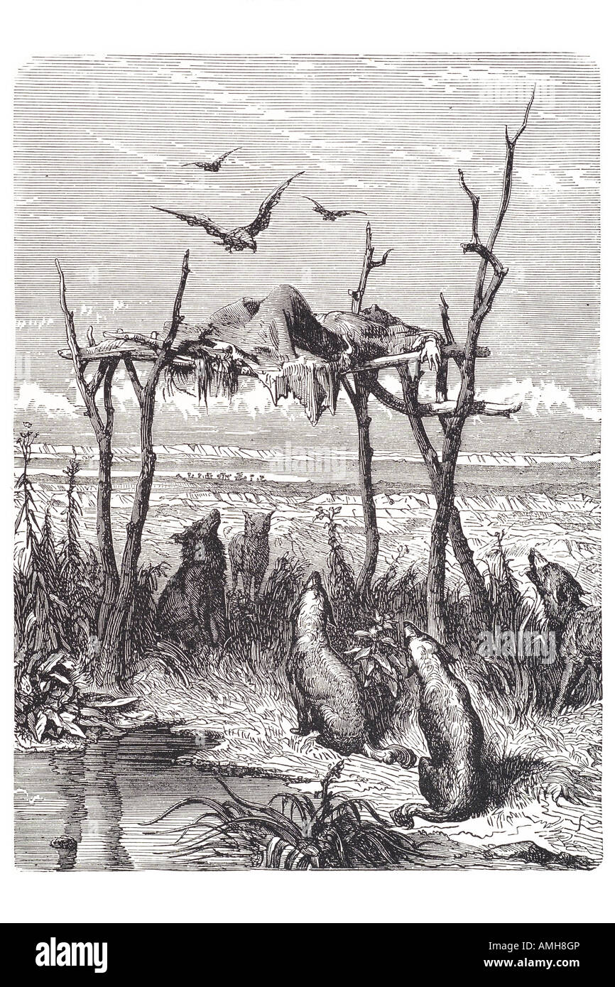 australian grave aboriginal Aborigine Aborigines indigenous sky Stock