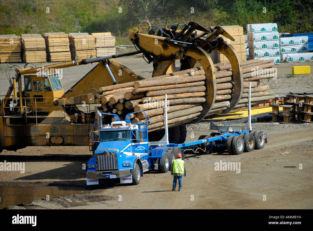 Logging Trucks Transport Lumber Forestry Logging Wood Industry Stock
