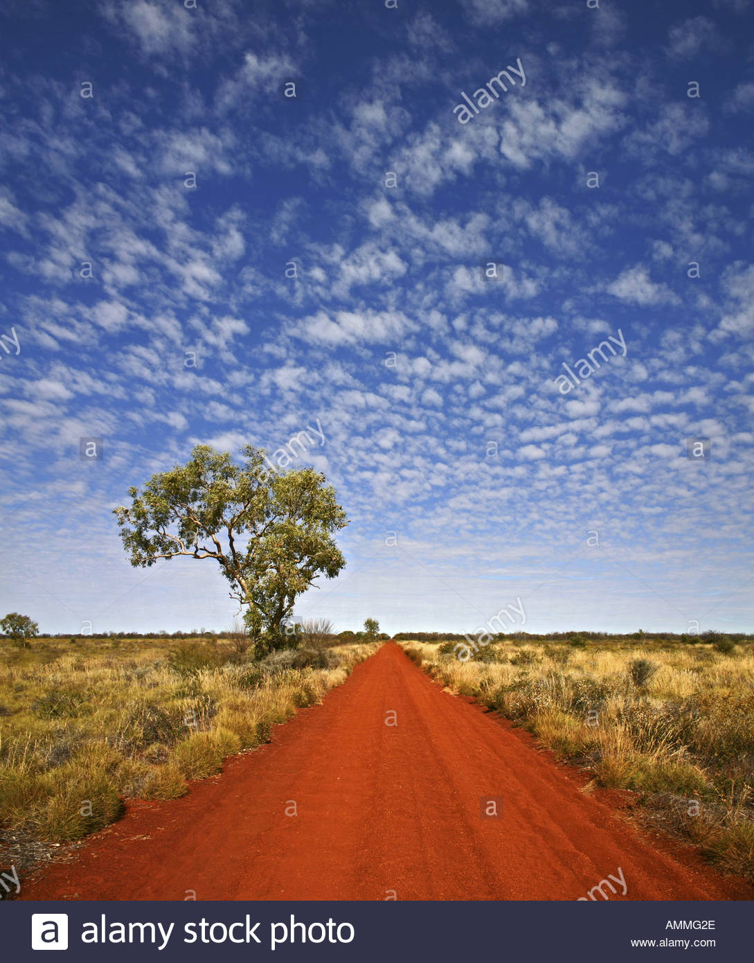 As straight as the Gunbarrel Highway Gibson Desert Western Australia Stock Photo, Royalty Free