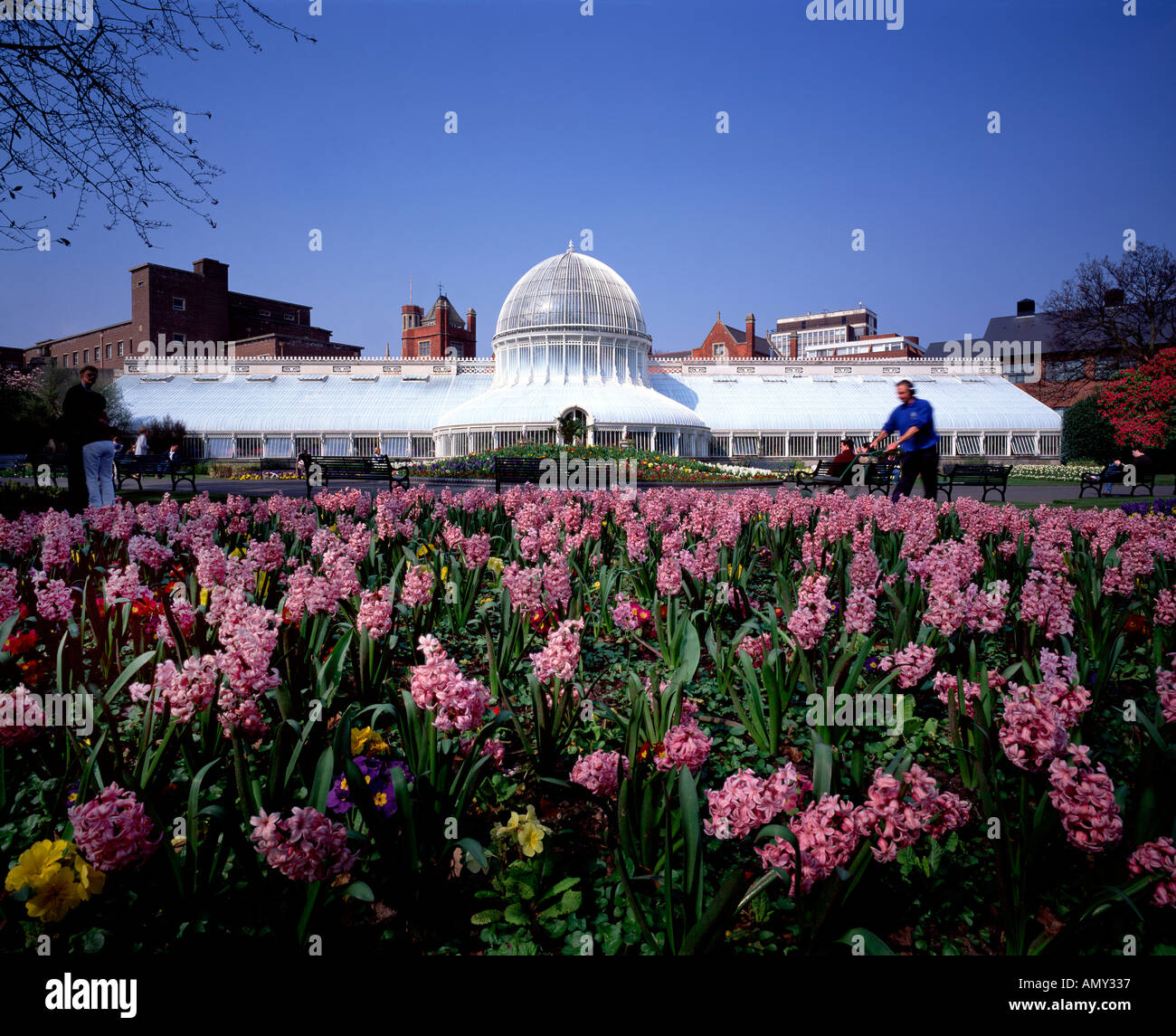 Botanic Gardens Belfast Northern Ireland Stock Photo Alamy