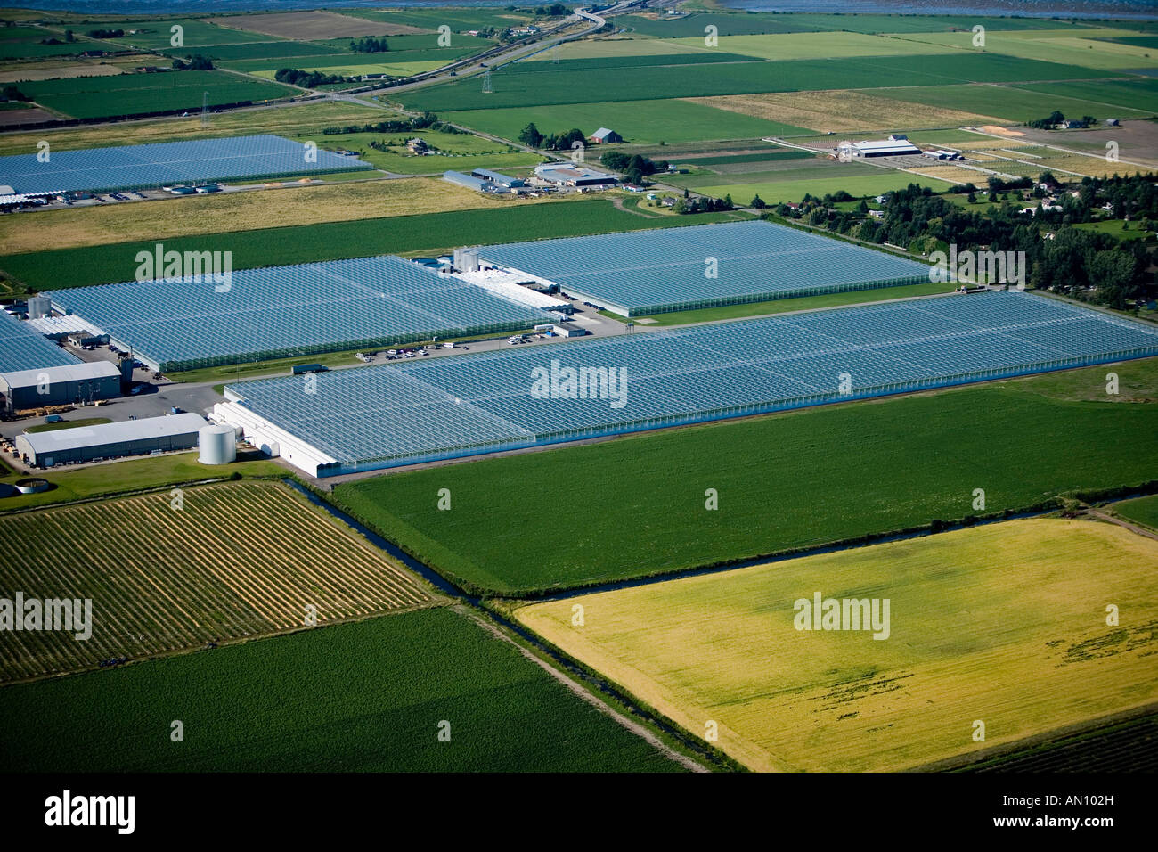 Greenhouses, British Columbia, Canada Stock Photo, Royalty Free Image