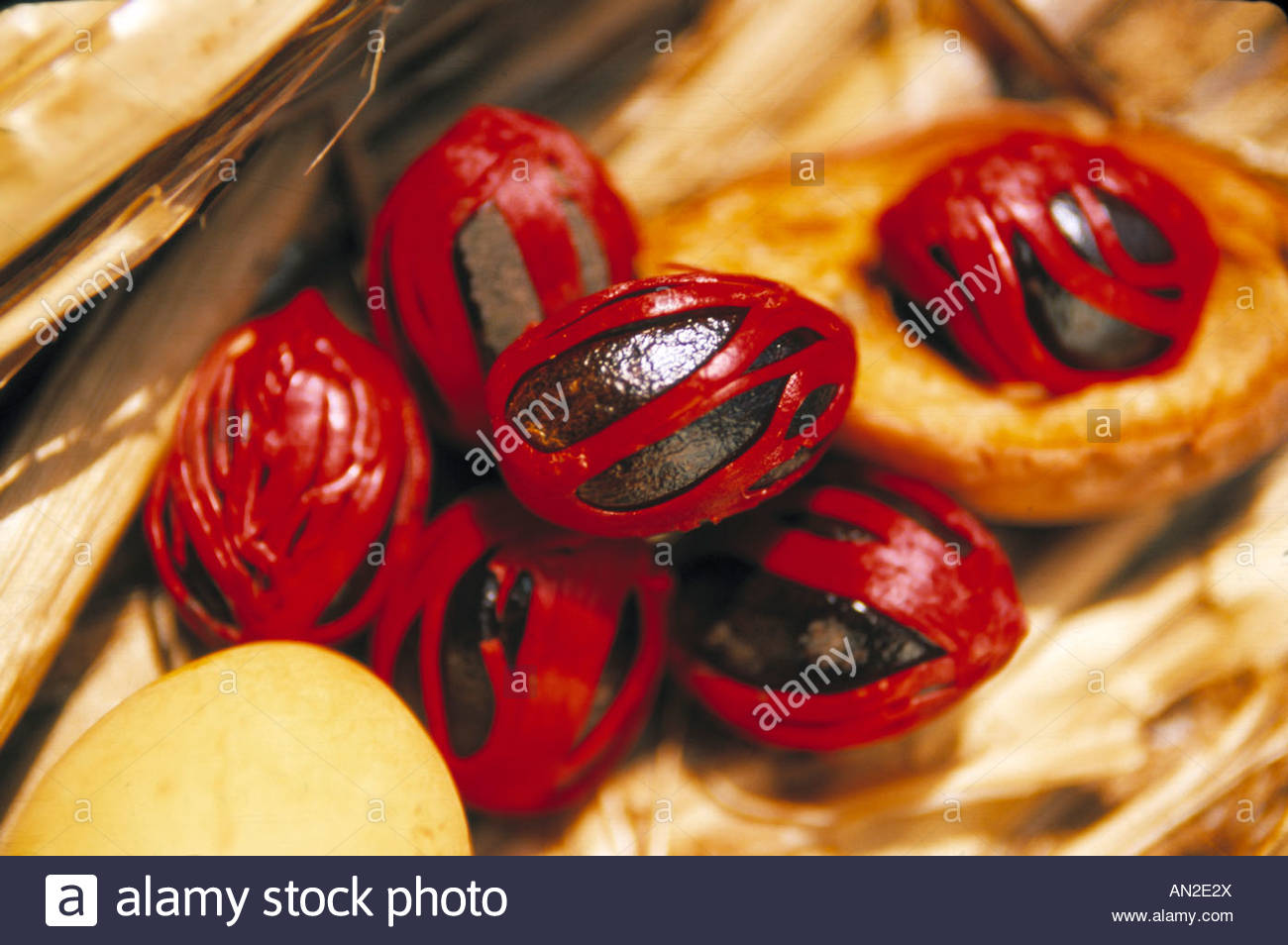 Grenada, Nutmeg Stock Photo, Royalty Free Image 15389953 Alamy