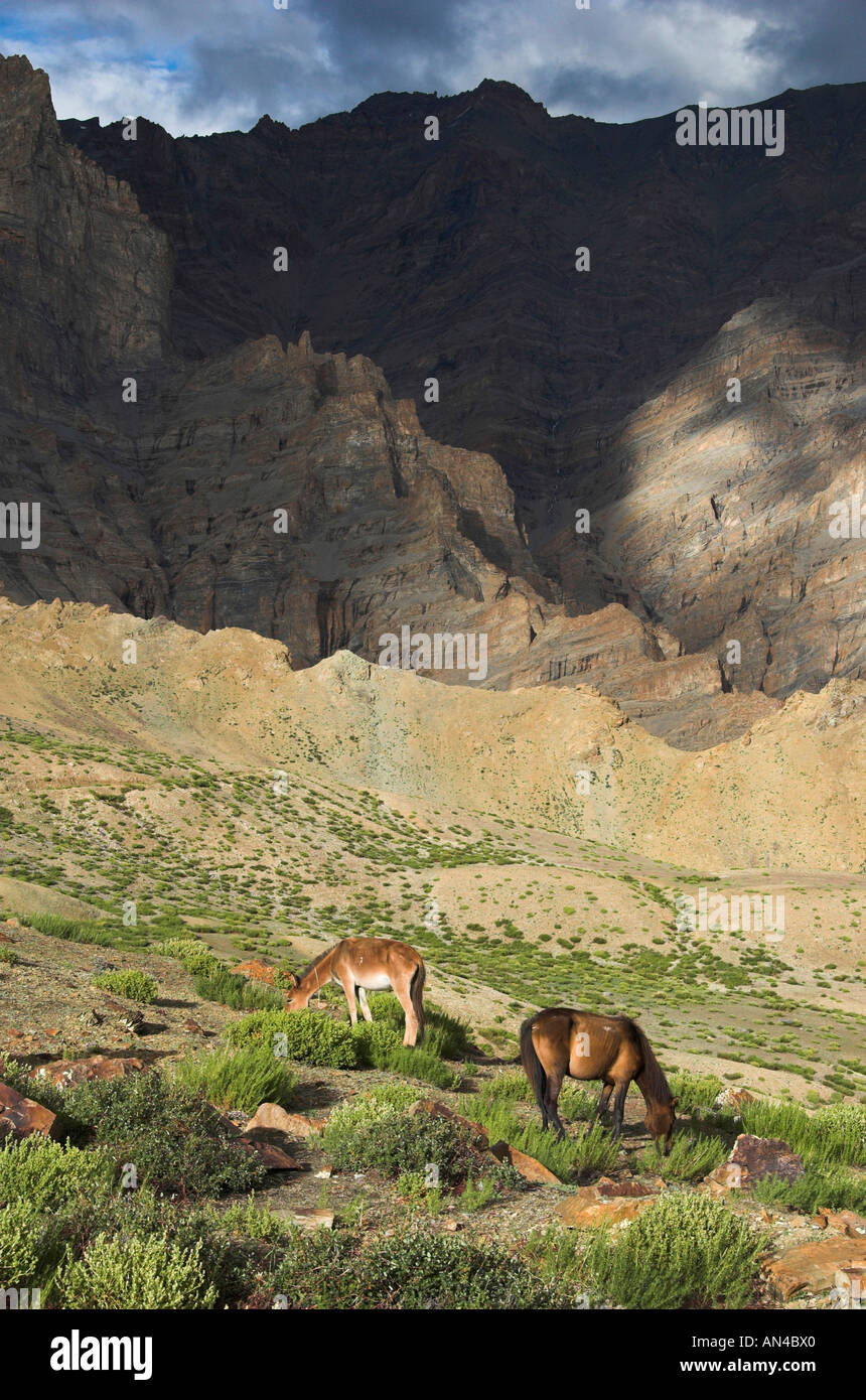 Watch 10 Himalayan Roads The Himalayas video Watch 10 Himalayan Roads The Himalayas video