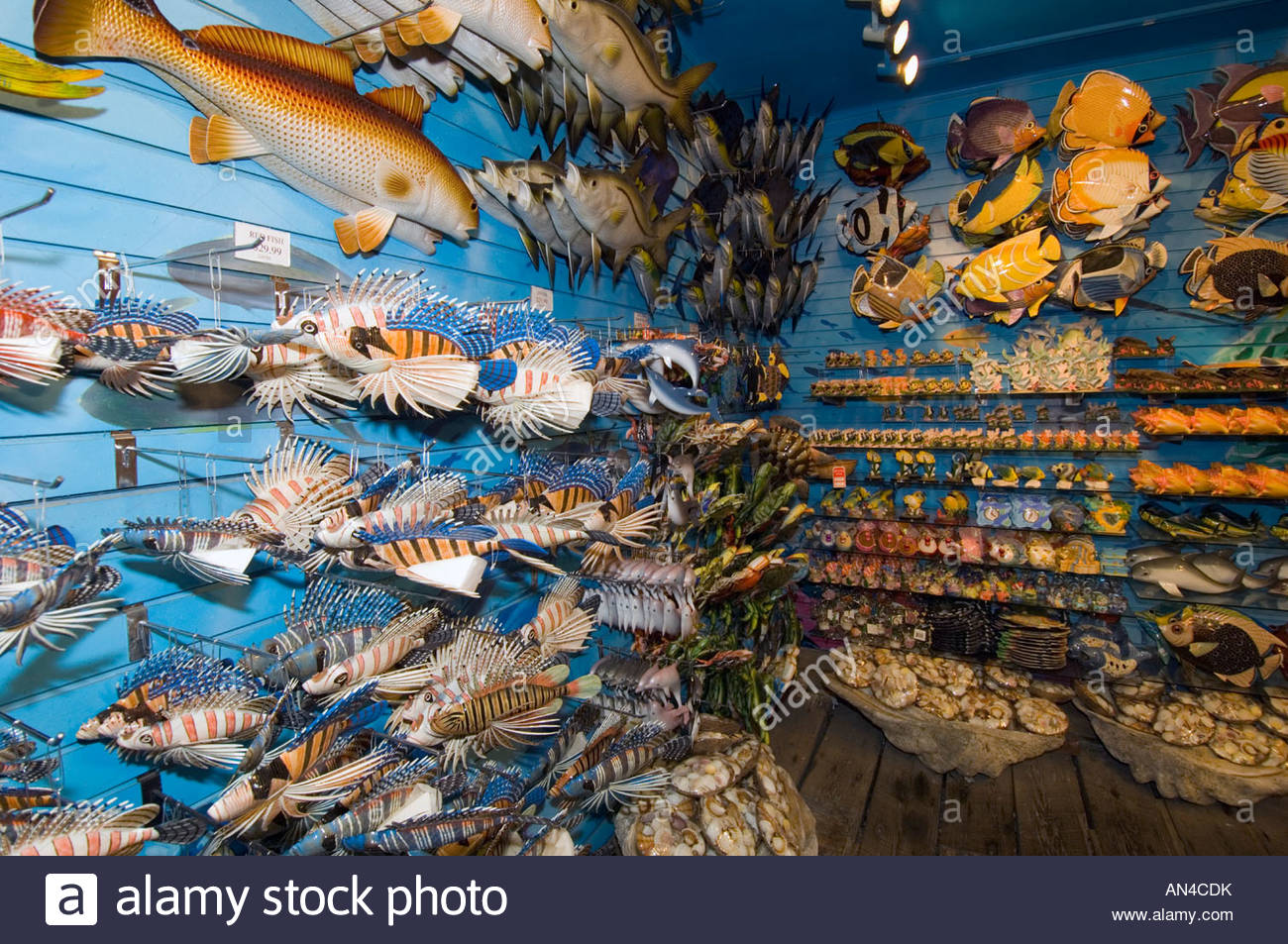 Florida Keys, Key West, Souvenir Shop Selling Shells And Other Sea