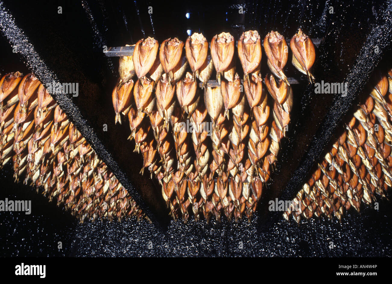 Smoked Kippers in Smoking Kiln Craster Northumberland Stock Photo