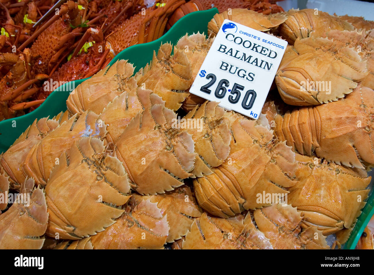 cooked-balmain-bugs-for-sale-at-sydney-fish-market-darling-harbour-AN9JH8.jpg