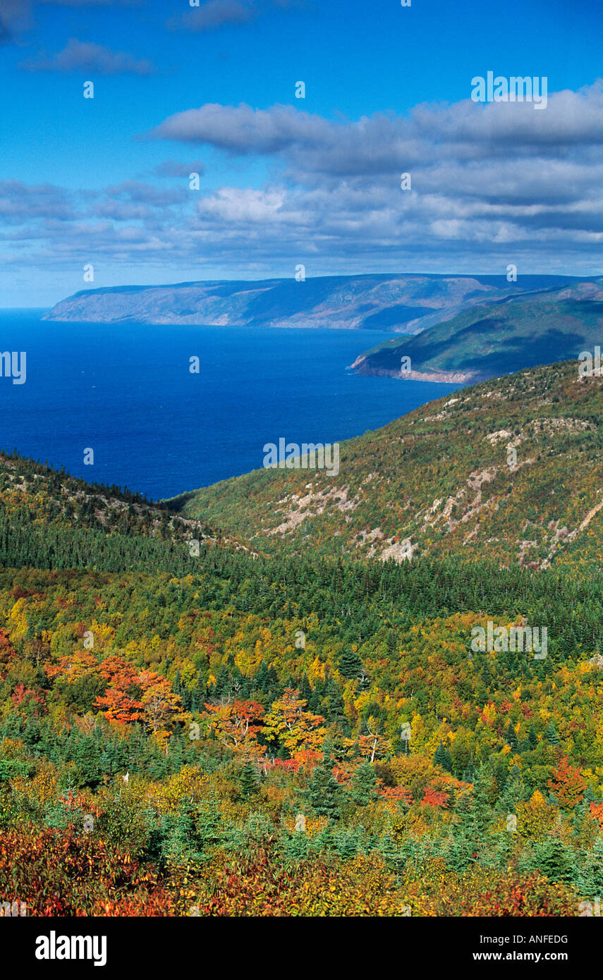 View Towards Pleasant Bay, From The Cape Breton Highlands, Nova Stock