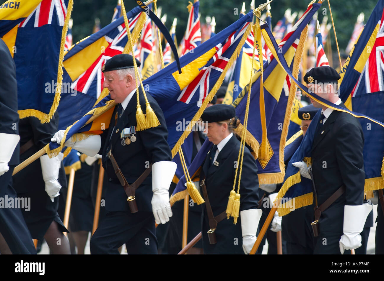 Royal, British, legion, standard, bearers, flag, remembrance, Sunday
