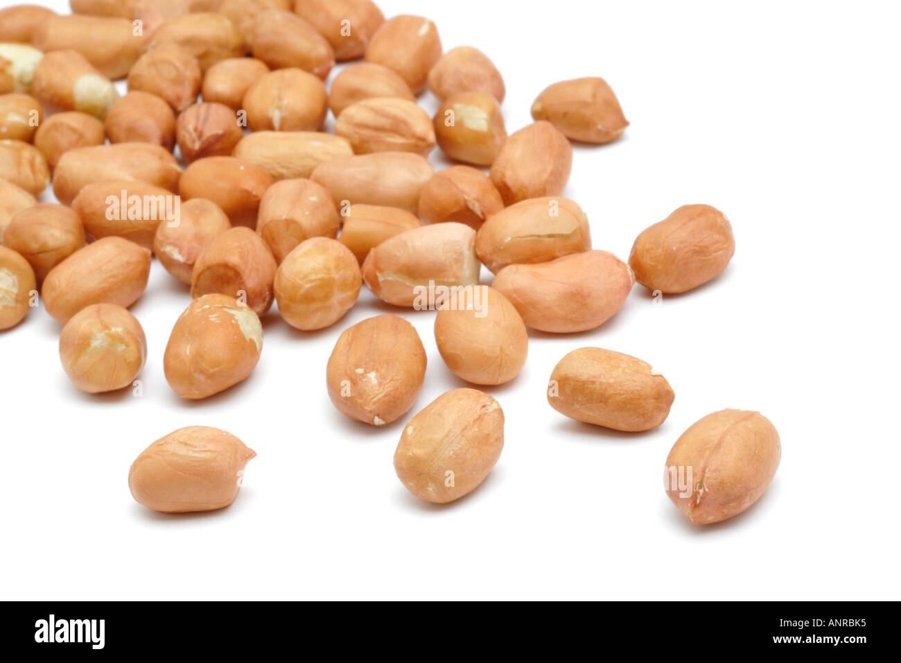 pale-skin-peanuts-on-white-background-AN