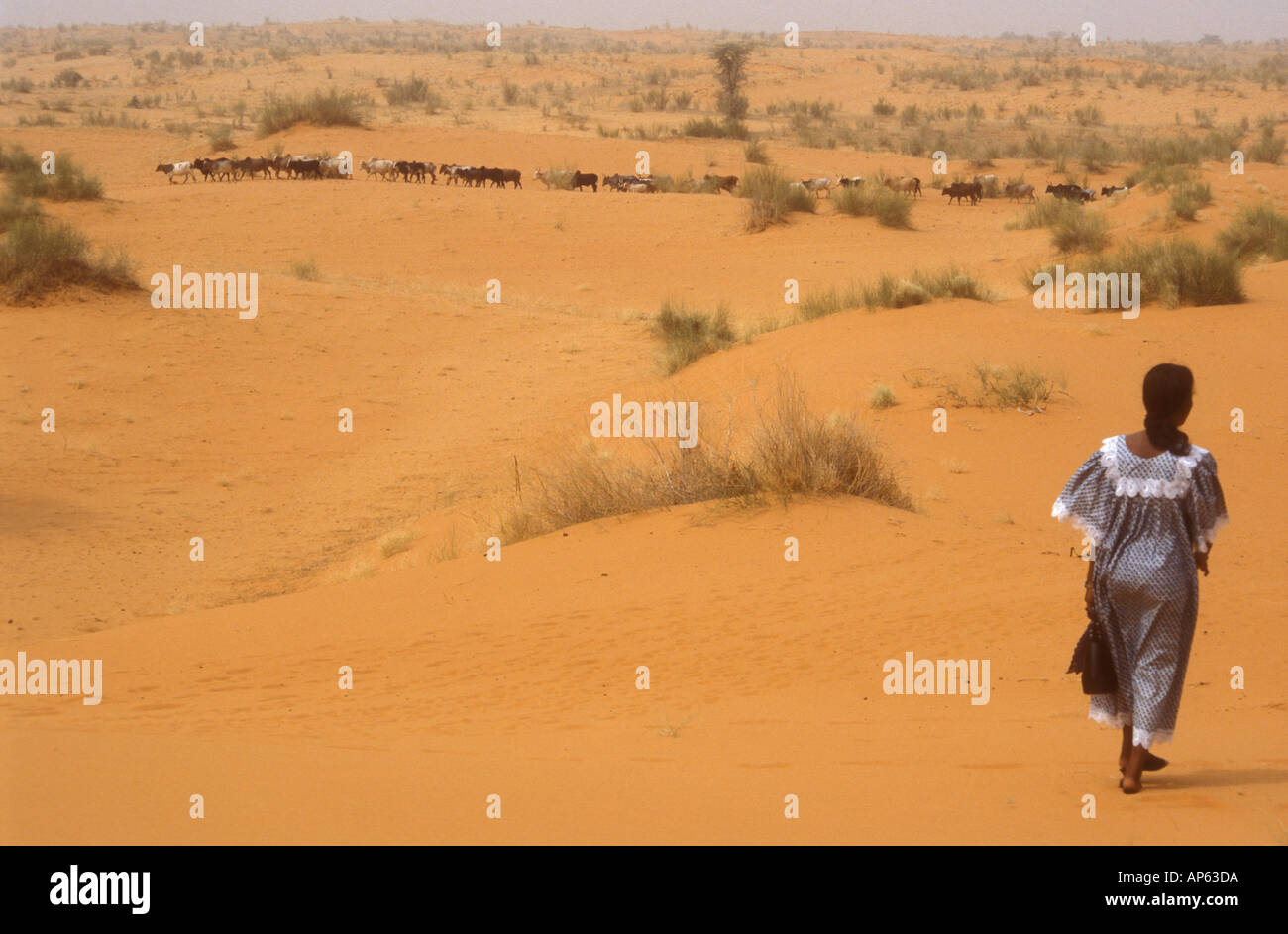 Woman Walking In Sahara Desert Burkina Faso West Africa Woman Walking In Sahara Desert Burkina Faso West Africa