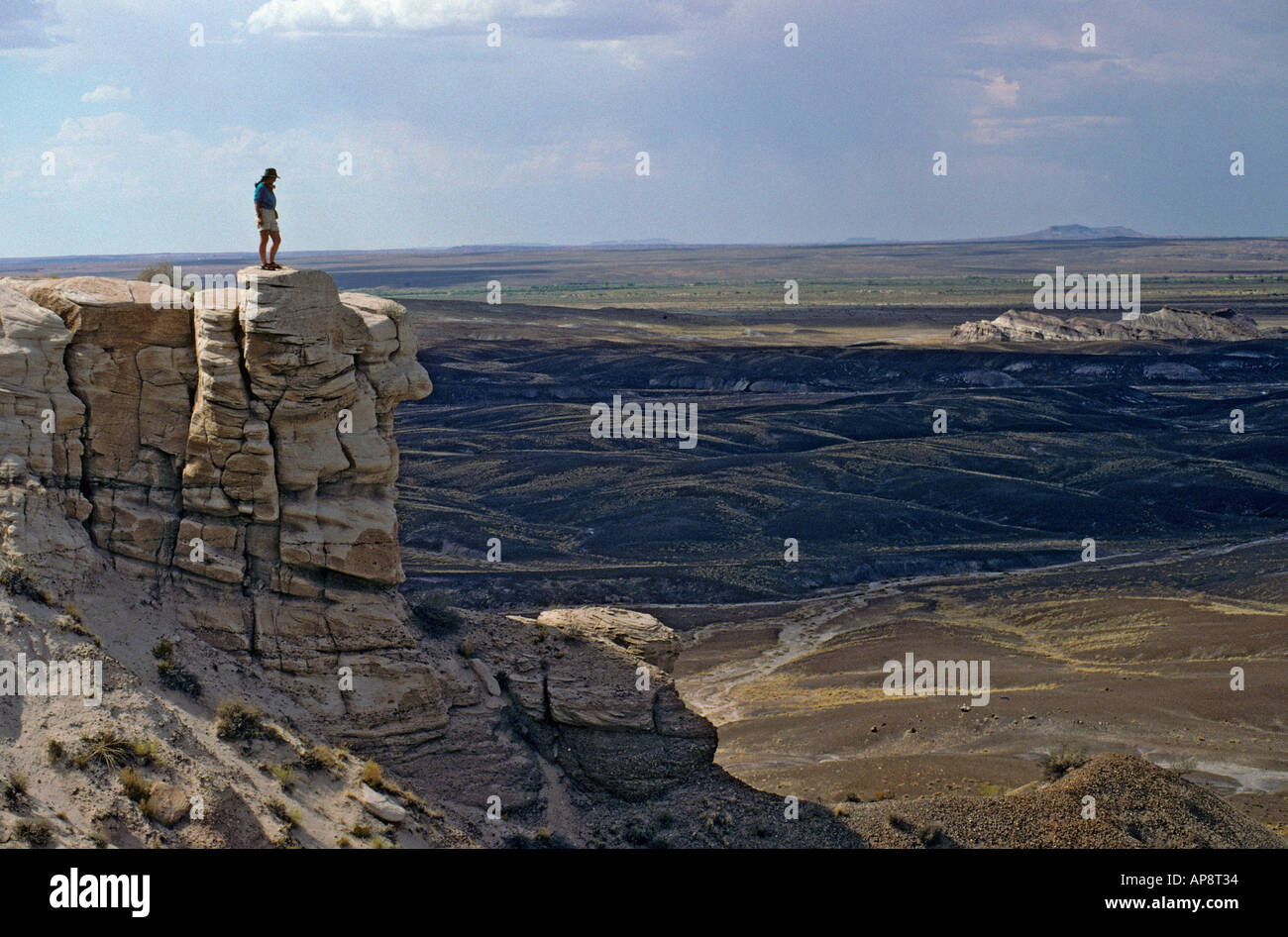 petrified forest natl pk catholic single men Petrified forest national park in arizona, lived right next to this but never went : petrified) petrified forest national park, arizona possibly acadia natl . petrified forest natl pk catholic single men Petrified forest national park in arizona, lived right next to this but never went : petrified) petrified forest national park, arizona possibly acadia natl .