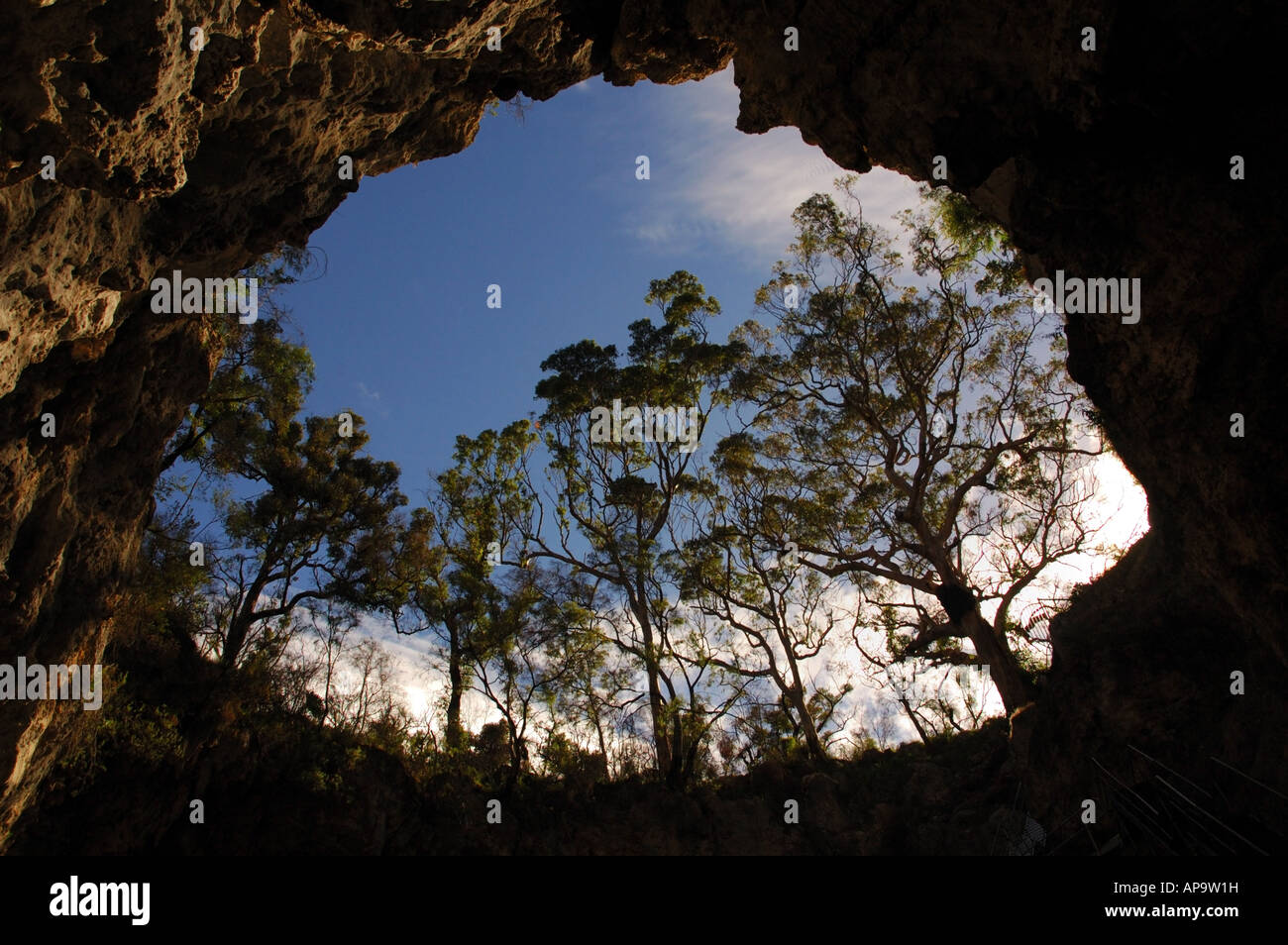 Résultat de recherche d'images pour "mammoth cave australia"