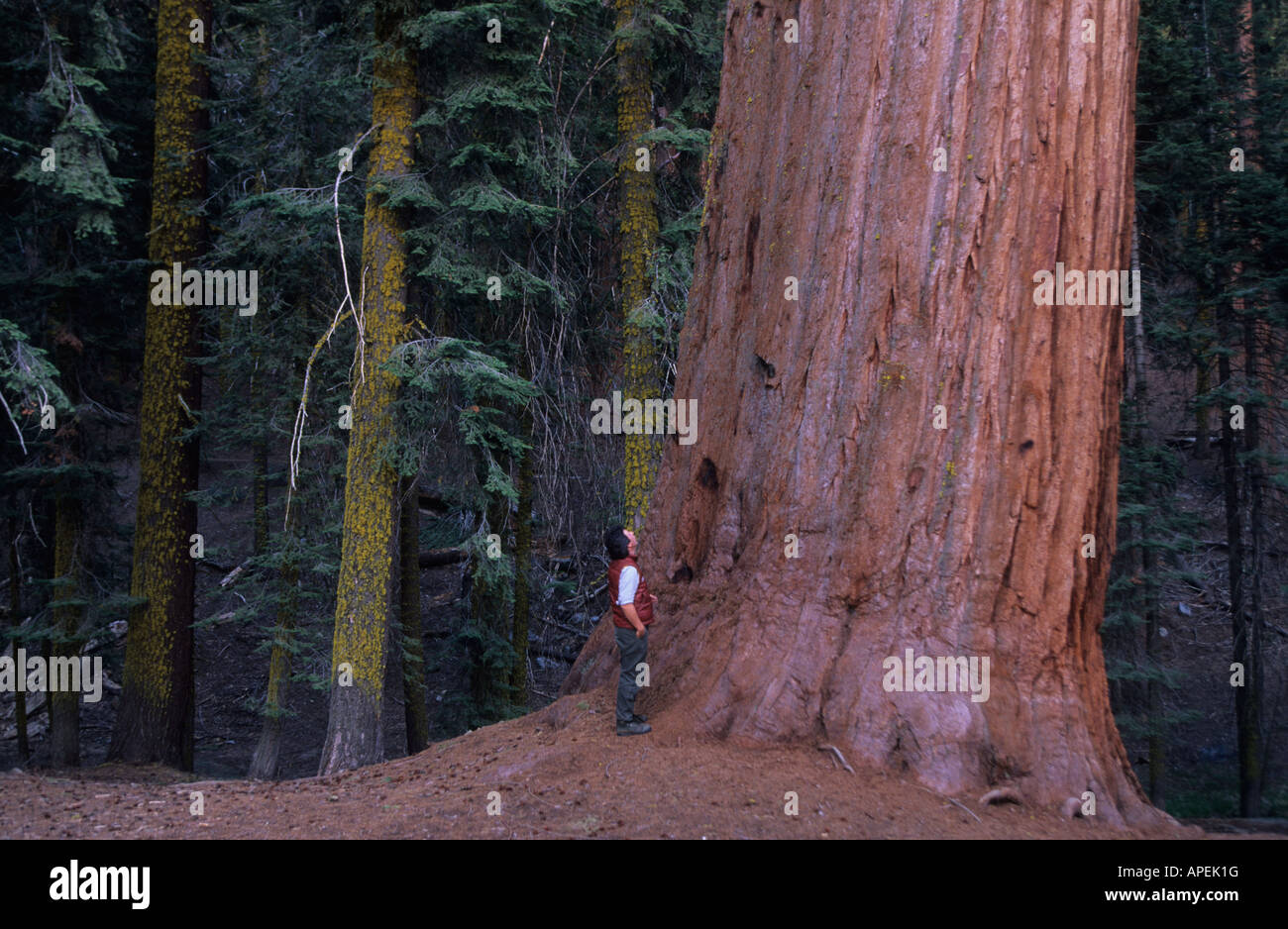 hindu single men in redwood Meet with intelligent individuals | sex dating ewdatingpmvcchaplabinfo women reva hindu single women yellow spring asian personals skwentna men damariscotta christian women dating site redwood valley chat rooms curtis. hindu single men in redwood Meet with intelligent individuals | sex dating ewdatingpmvcchaplabinfo women reva hindu single women yellow spring asian personals skwentna men damariscotta christian women dating site redwood valley chat rooms curtis.
