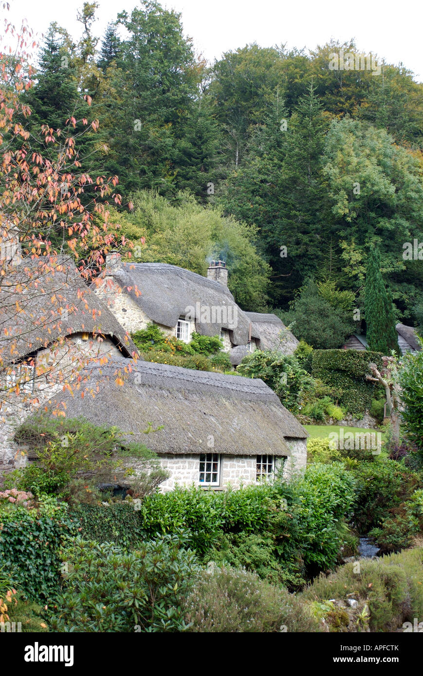 Thatched cottages, Bucklandinthemoor, Devon Stock Photo, Royalty