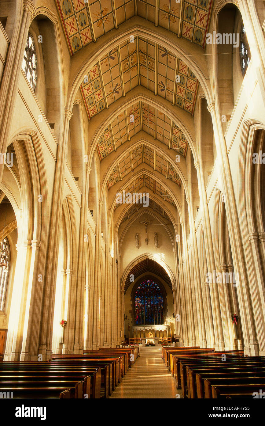 The nave of St George s Roman Catholic Cathedral London England Stock