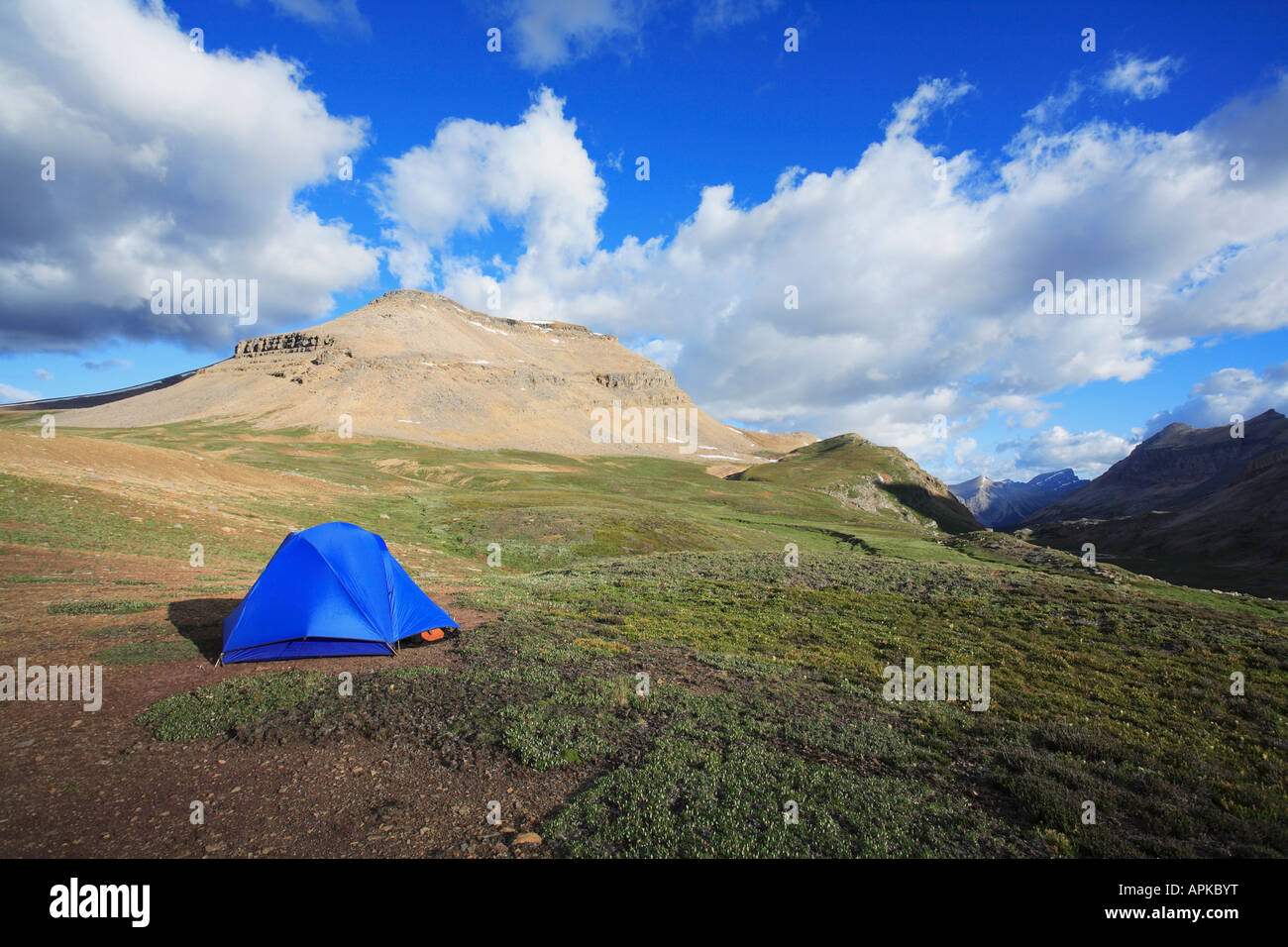 Random backcountry camping in Dolomite Pass Banff National Park Stock