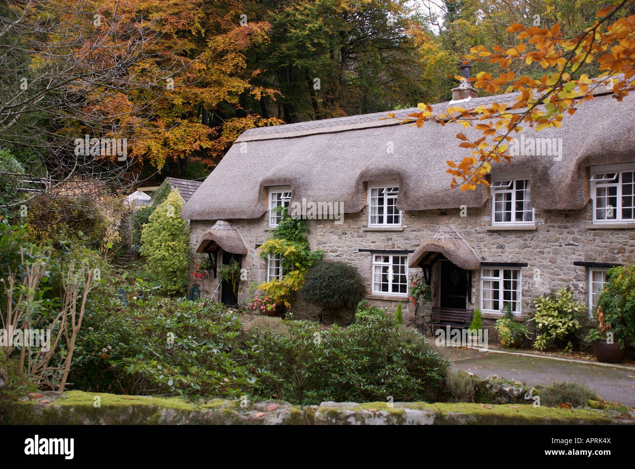 Thatched Cottages, Bucklandinthemoor, Devon Stock Photo, Royalty