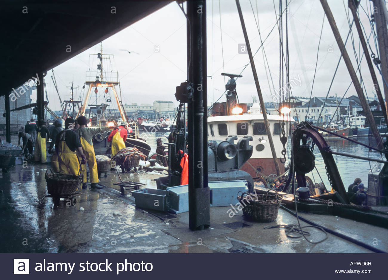 Aberdeen fish market food fishing trade trawler boat catch auction