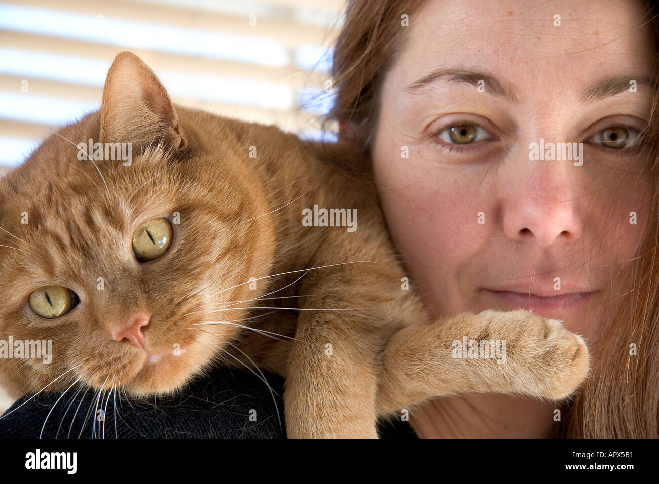 Stock Photo - portrait of woman with a pet ginger cat Model released - portrait-of-woman-with-a-pet-ginger-cat-model-released-APX5B1