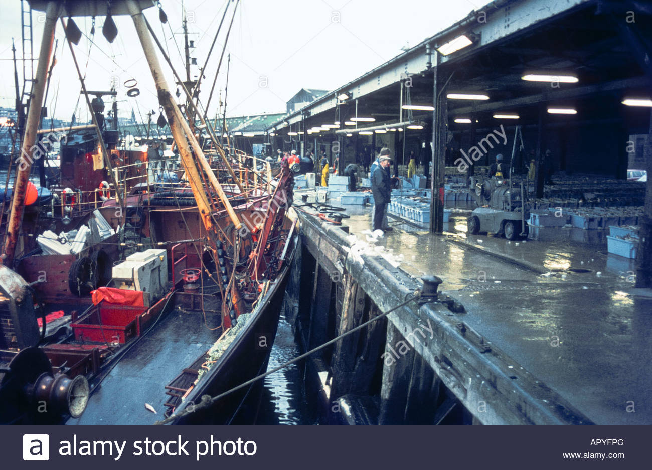 Aberdeen fish market food fishing trade trawler boat catch auction