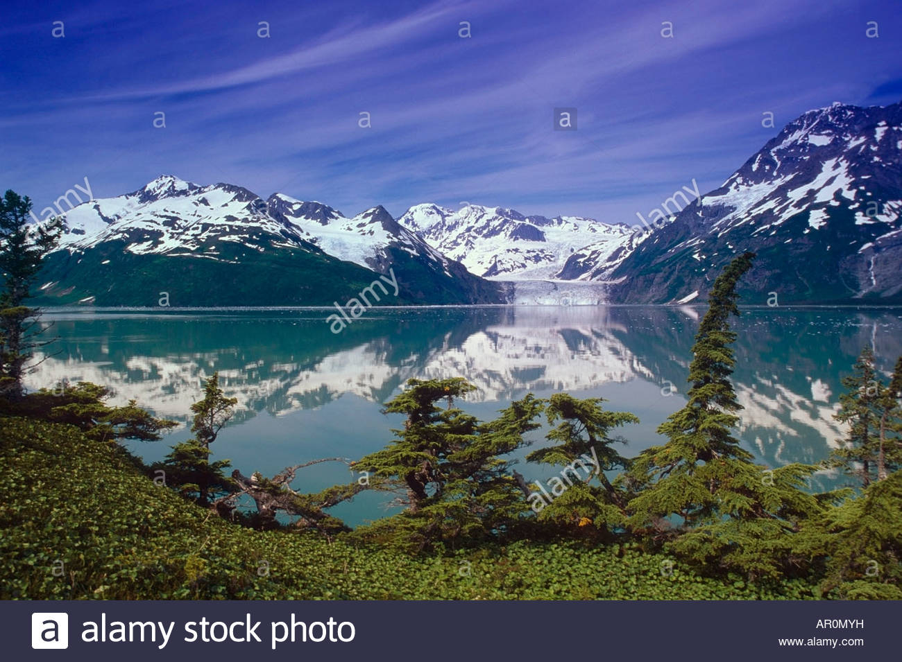 Harriman Fjord Surprise Glacier Hemlocks Pws Sc Ak Stock Photo Royalty