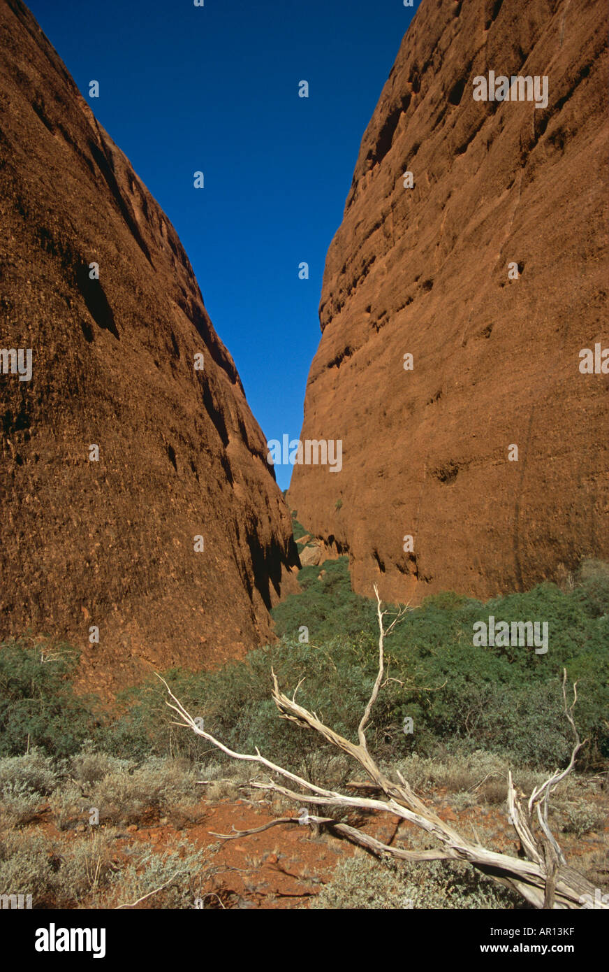 Walpa Gorge The Olgas Kata Tjuta National Park Northern Territory