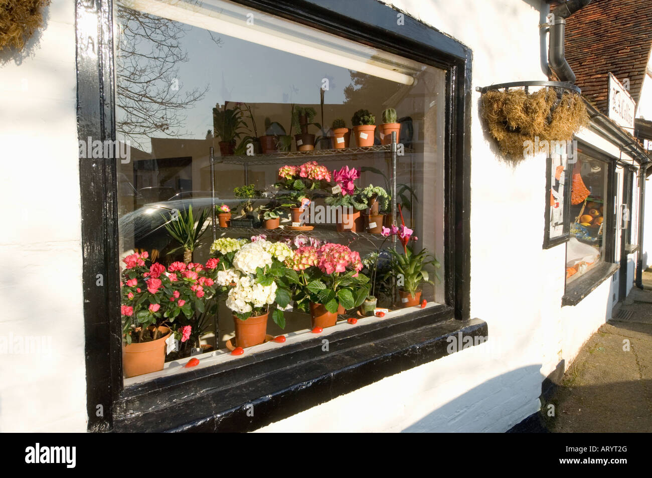 Flower Shop Shere Surrey England UK Stock Photo, Royalty Free ... Flower Shop Shere Surrey England UK Stock Photo, Royalty Free ...