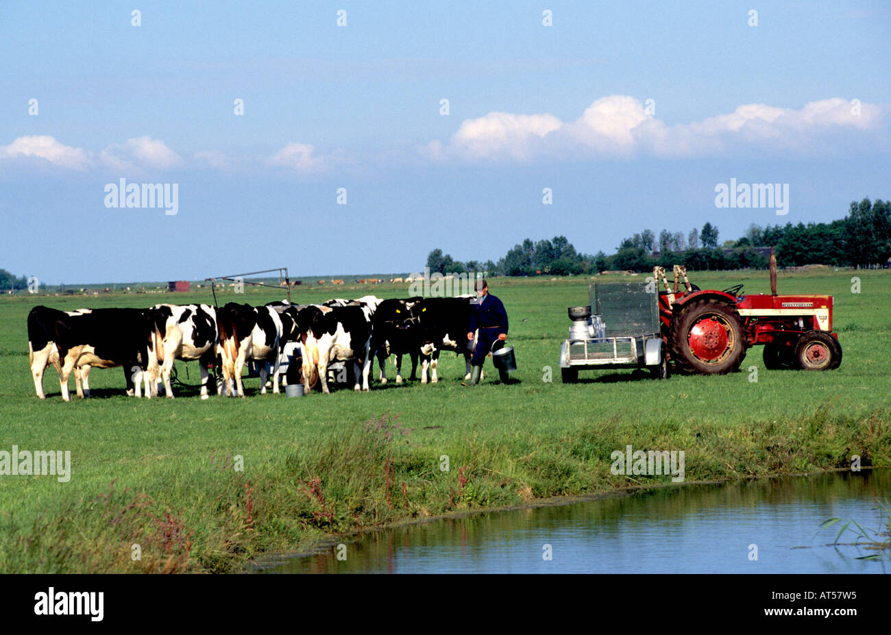 north holland Netherlands dairy farm milk milking machine farmer Stock