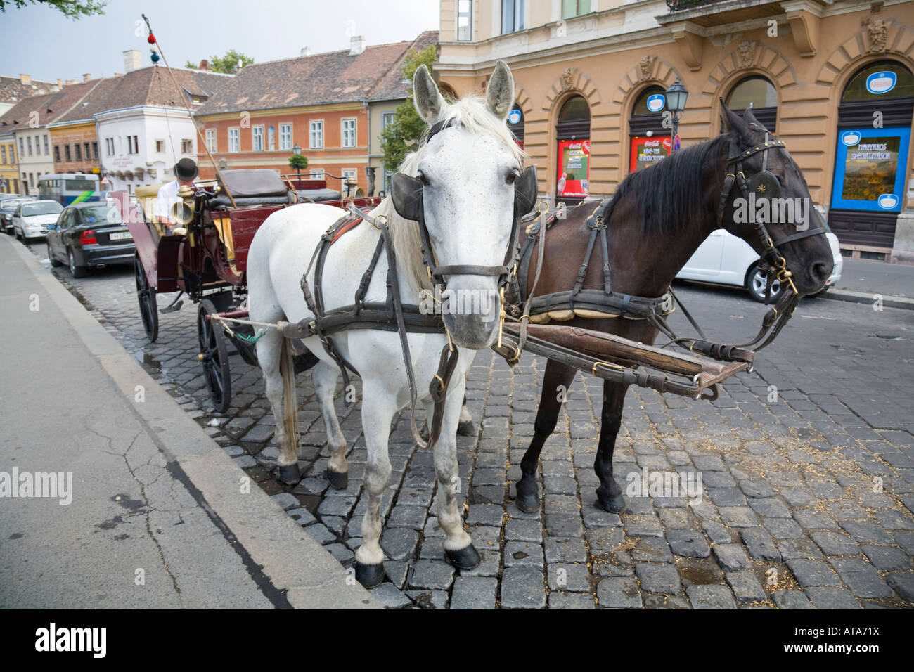 A horse drawn carriage called fiaker on castle hill in Budapest Stock Photo, Royalty Free Image