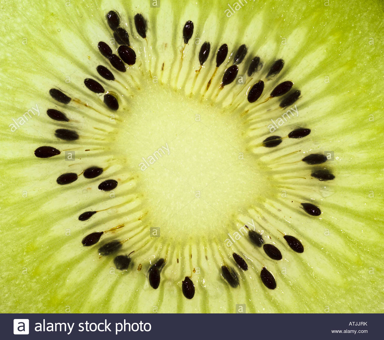 kiwi fruit thin slice cut open seed closeup food vitamin C cuisine