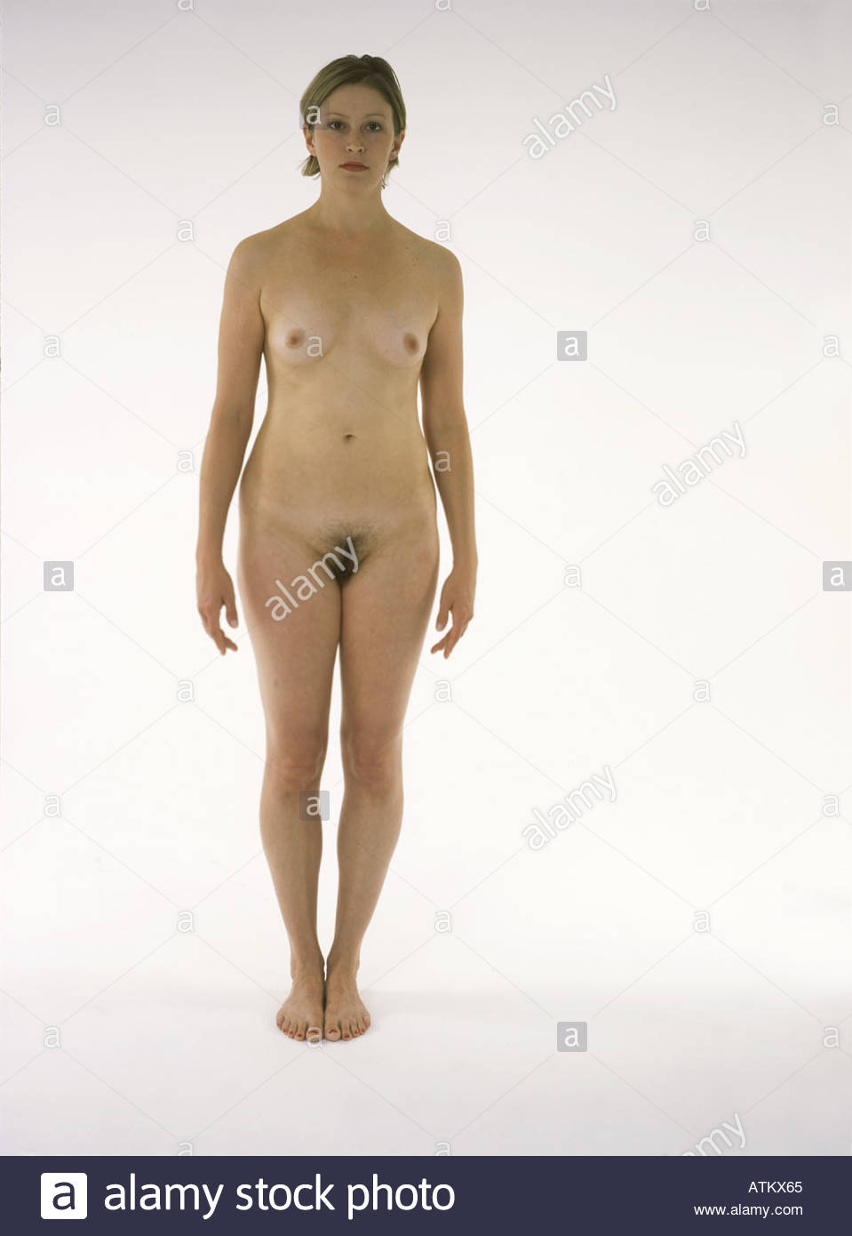 does rough anal female teen nude anatomy