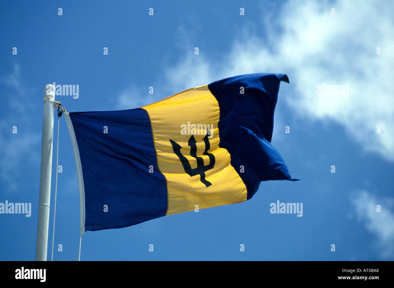 Barbados West Indies National Flag Symbol Blowing In Breeze Blue Sky Caribbean Barbados West Indies National Flag Symbol Blowing In Breeze Blue Sky Caribbean