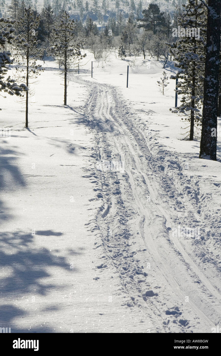 Cross Country Skiing Tracks Near Saariselka Northern Finland Stock