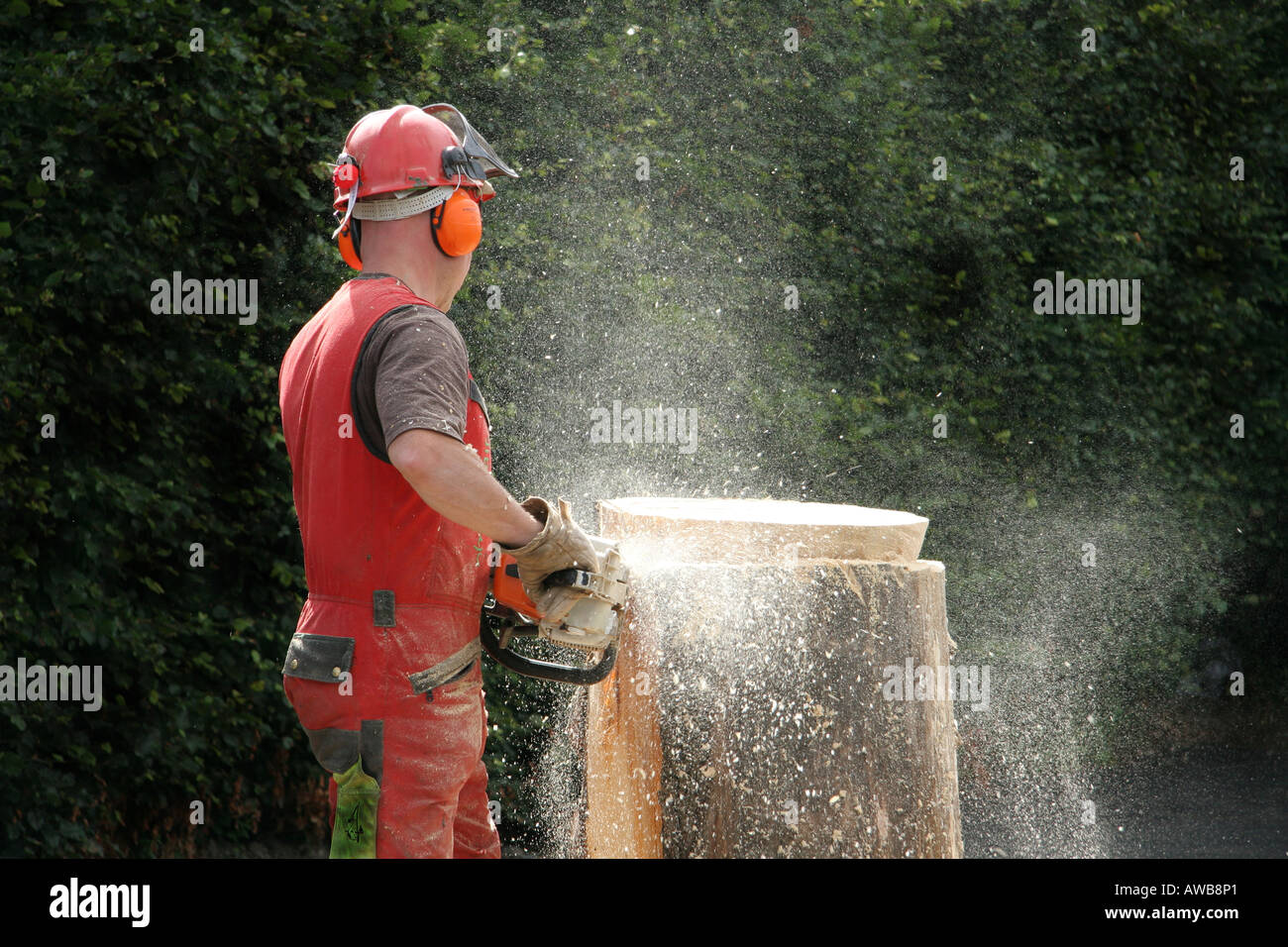 stock photo woodcutter with chain saw carving garden furniture from tree trunk glasgow uk - Garden Furniture Glasgow stock photo woodcutter with chain saw carving garden furniture from tree trunk glasgow uk - Garden Furniture Glasgow