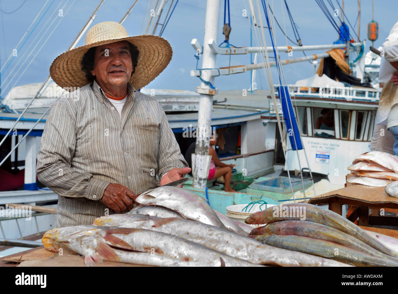 Man selling fish at the local "VerOPeso" fish market, Belem, Pará
