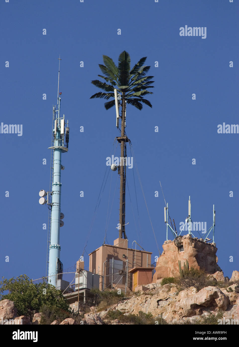 How tall are cell phone towers?