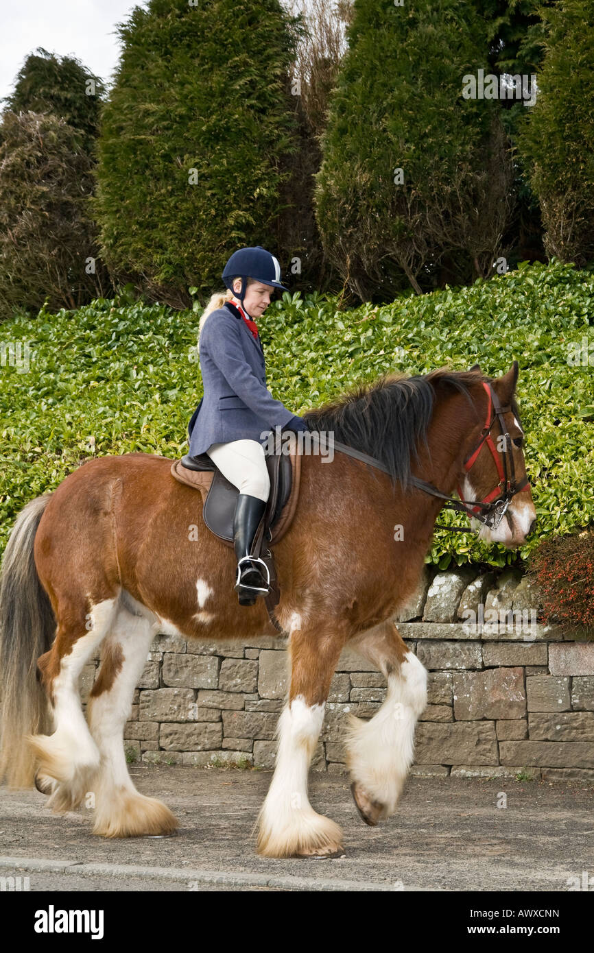 female on horseback at the Clydesdale horse show at Coupar Angus in