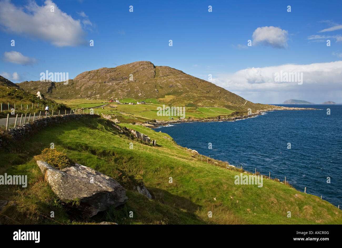 Cod's Head, Beara Peninsula, County Cork, Ireland Stock Photo, Royalty