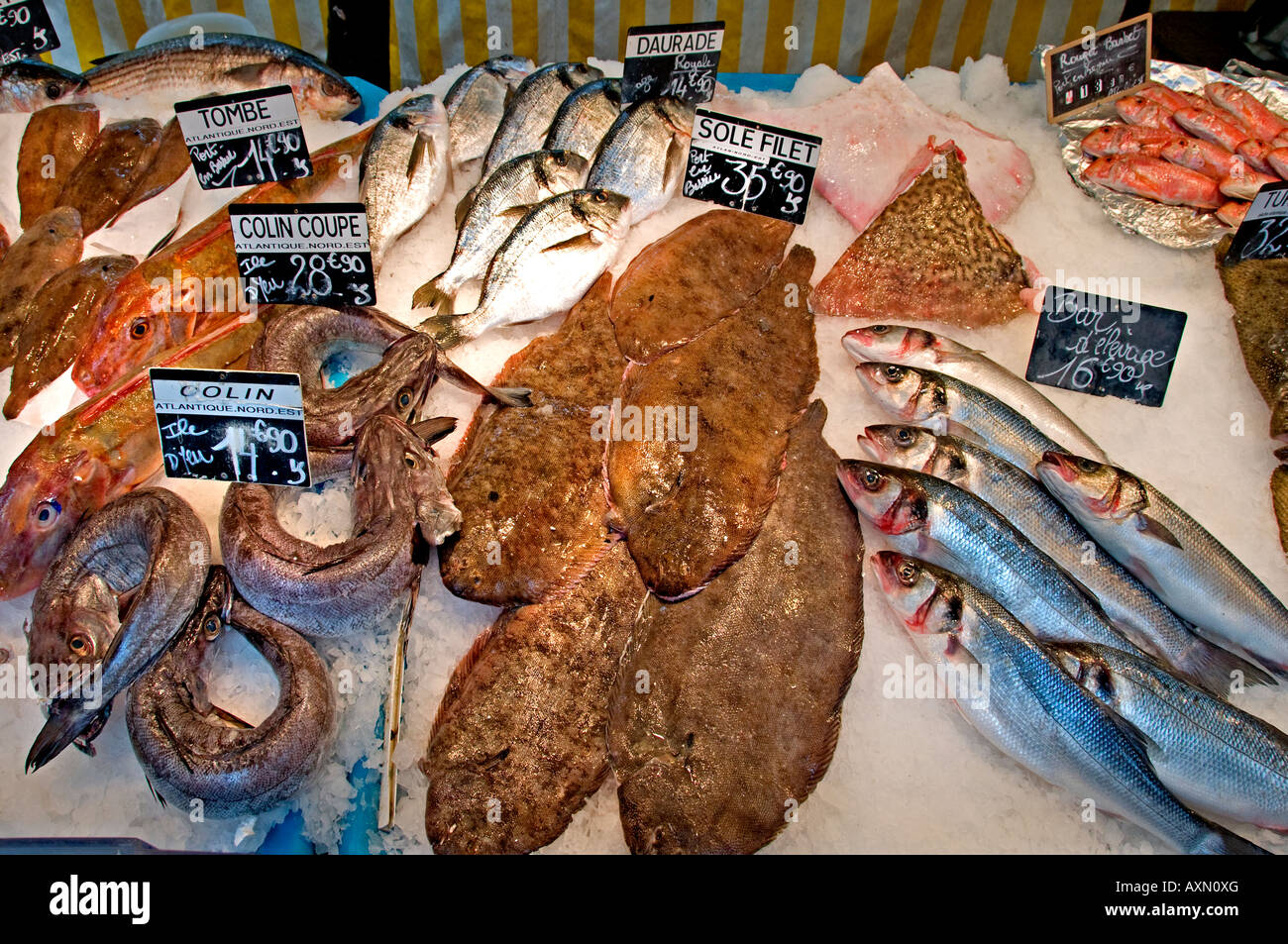 Poissonnerie Quoniam Fishmonger Rue Mouffetard France French Paris