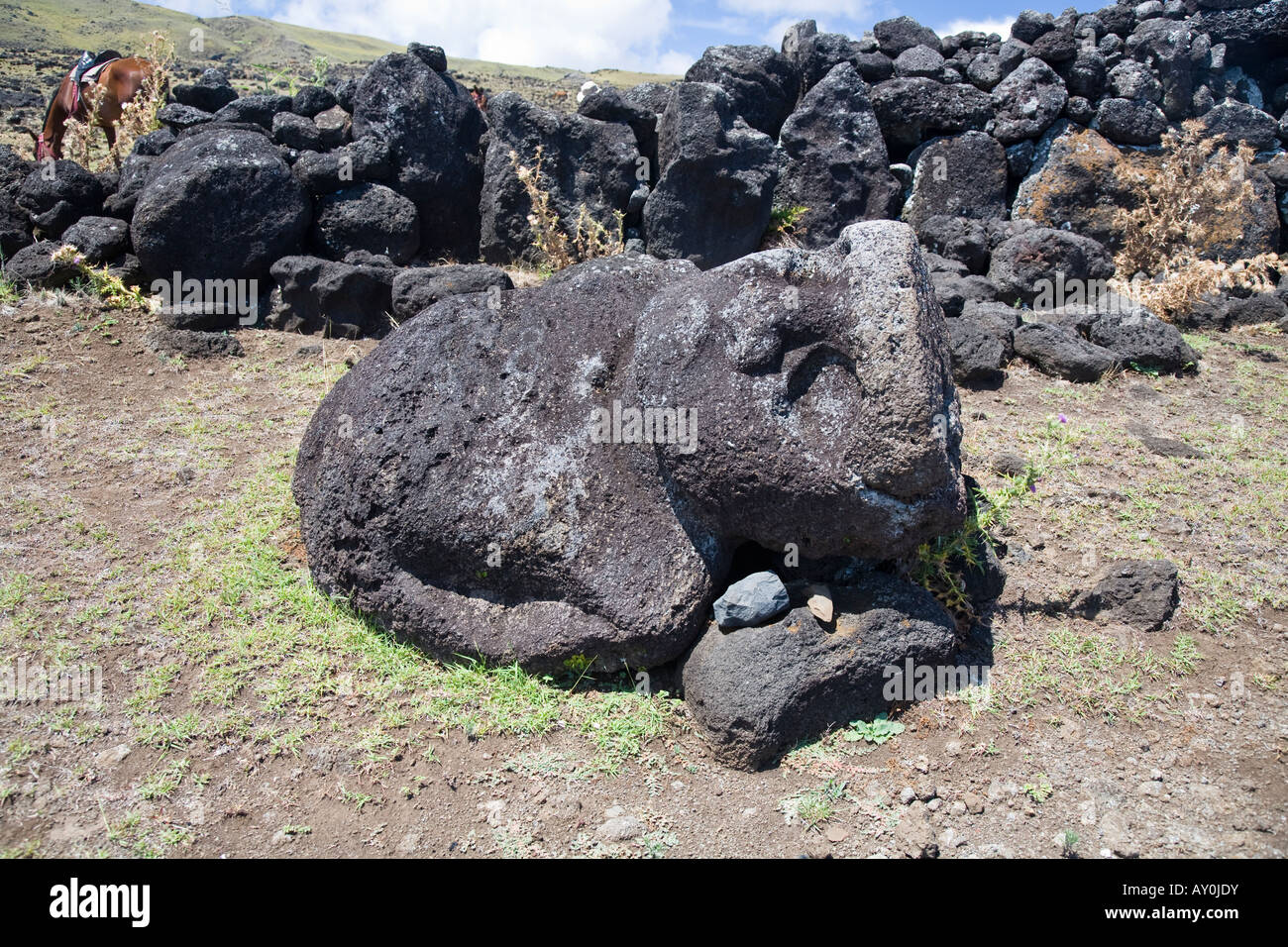 Toppled moai on Easter Island Stock Photo 16953158 Alamy