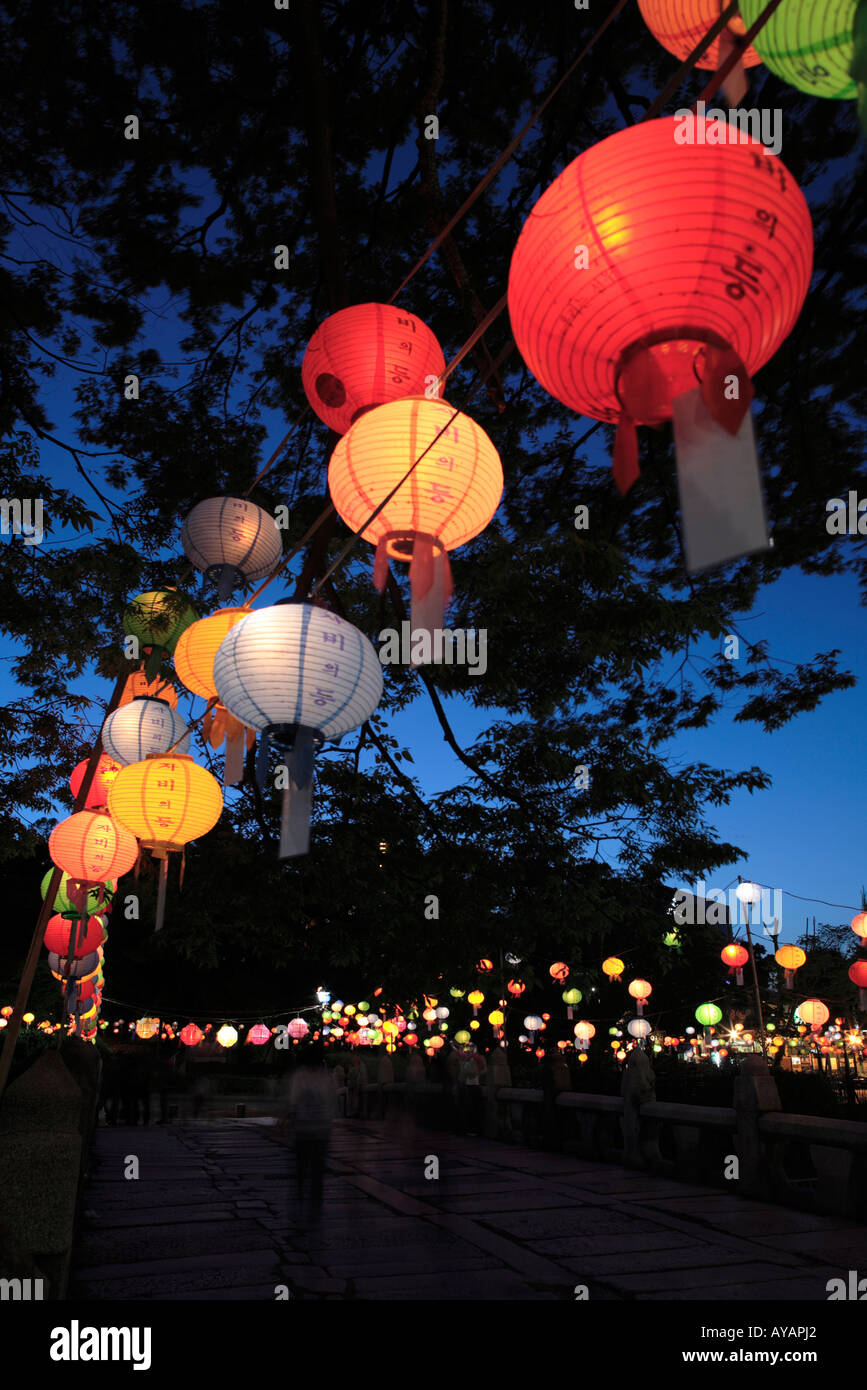 South Korea Seoul Paper Lanterns hanging from trees at dusk in Stock