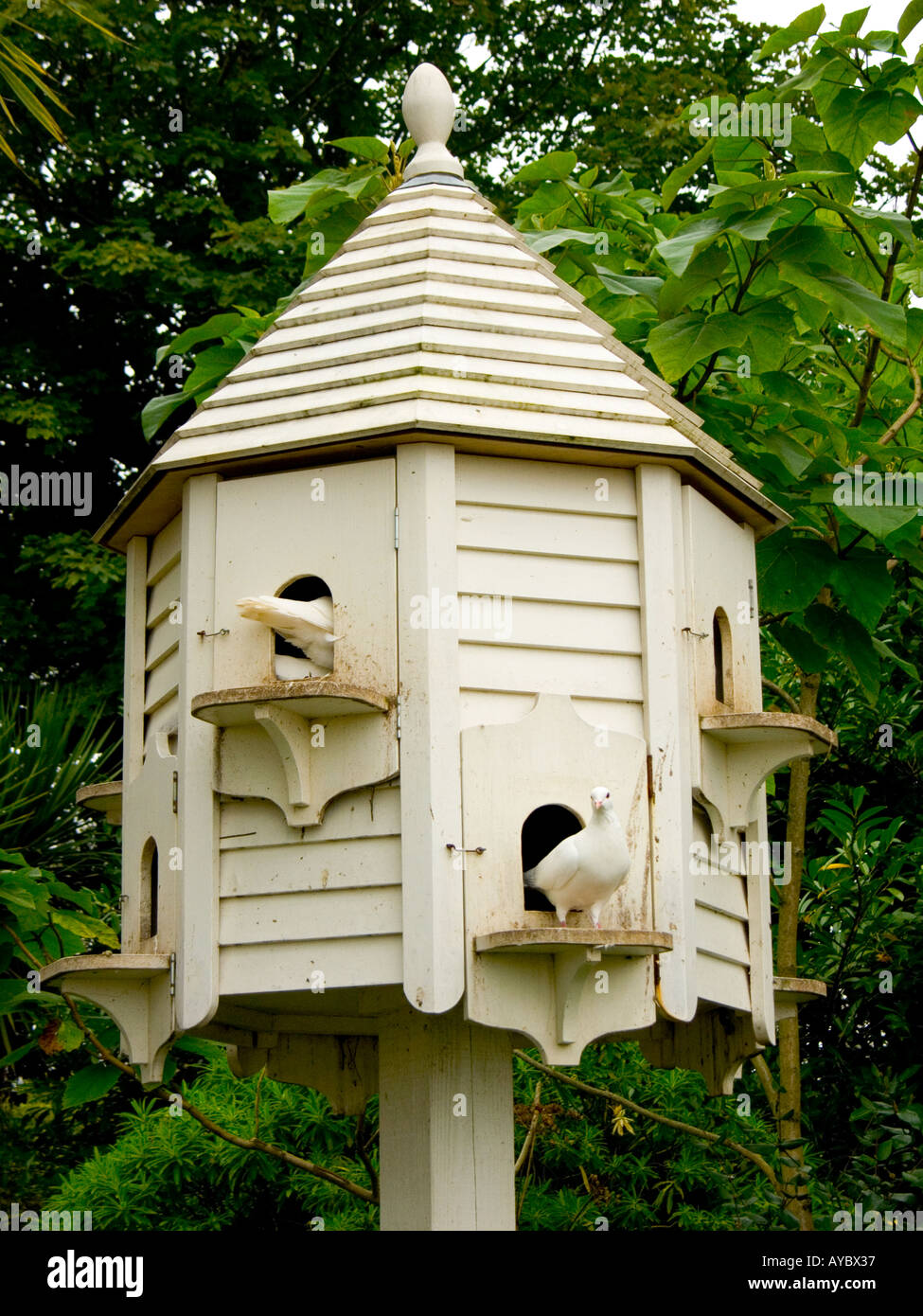 dovecote with doves Stock Photo, Royalty Free Image 5570102 Alamy